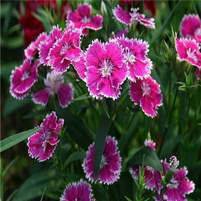 AG官方网站下载