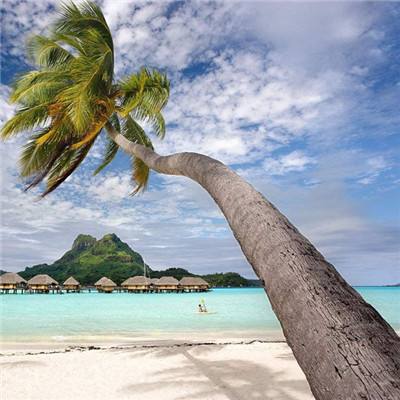 BOB体育综合入口app下载截图